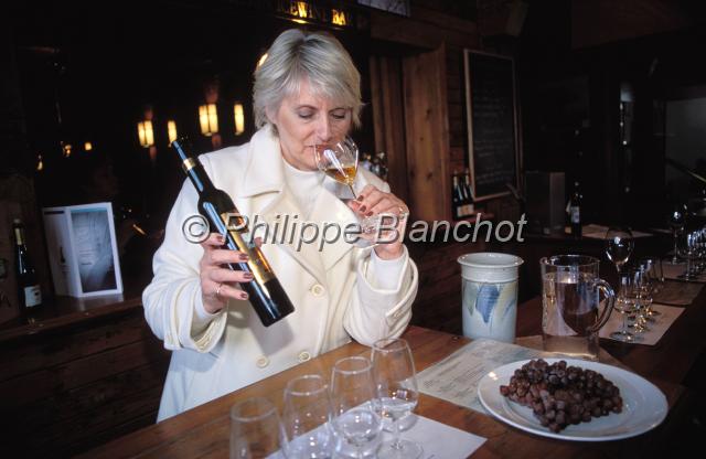 canada ontario  33.JPG - Domaine vinicoleInniskillinNiagara on the LakeOntarioCanada